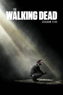 The Walking Dead poster image