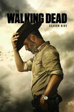 The Walking Dead poster image