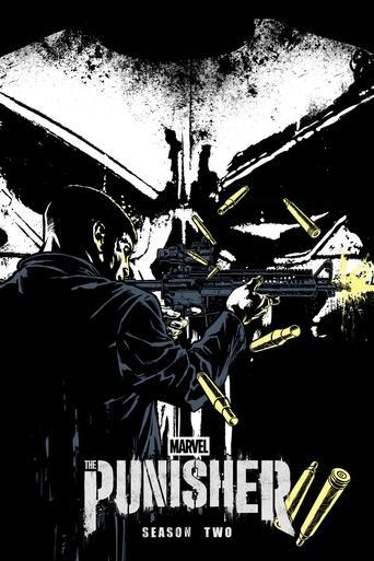 Marvel's The Punisher poster image