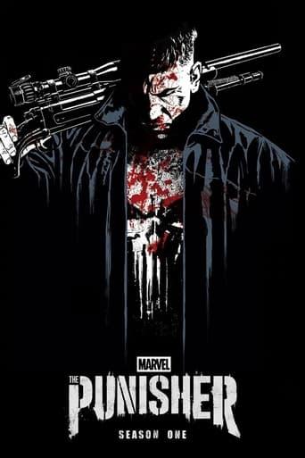 Marvel's The Punisher poster image