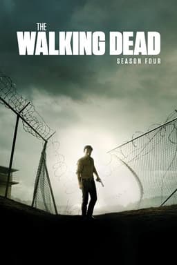 The Walking Dead poster image