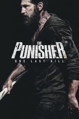 The Punisher: One Last Kill poster image