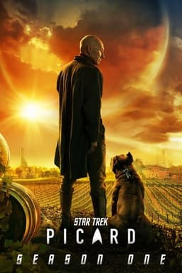 Star Trek: Picard poster image