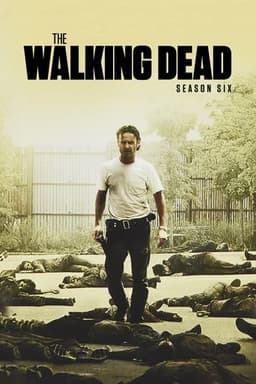 The Walking Dead poster image