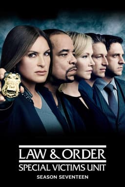 Law & Order: Special Victims Unit poster image