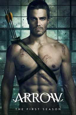Arrow poster image