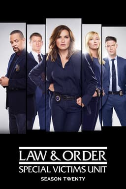 Law & Order: Special Victims Unit poster image