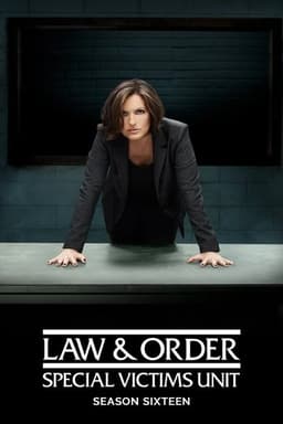 Law & Order: Special Victims Unit poster image